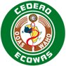https://www.broadreachcorporation.com/wp-content/uploads/2018/10/cedero-logo.png