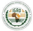 https://www.broadreachcorporation.com/wp-content/uploads/2018/10/igad-logo.png